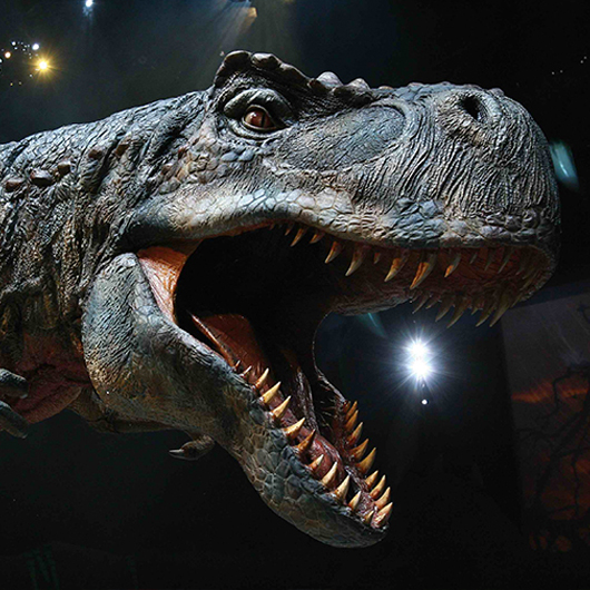 仿真恐龍,仿真恐龍制作,恐龍電瓶車,恐龍跑跑車,仿真恐龍廠家,恐龍化石模型,機器恐龍,自貢仿真恐龍模型制作,仿真恐龍模型定制,恐龍主題遊樂設施,仿真化石制作廠家,電動恐龍玩具