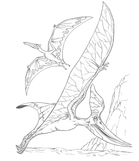 仿真恐龍,仿真恐龍制作,恐龍電瓶車,恐龍跑跑車,仿真恐龍廠家,恐龍化石模型,機器恐龍,自貢仿真恐龍模型制作,仿真恐龍模型定制,恐龍主題遊樂設施,仿真化石制作廠家,電動恐龍玩具