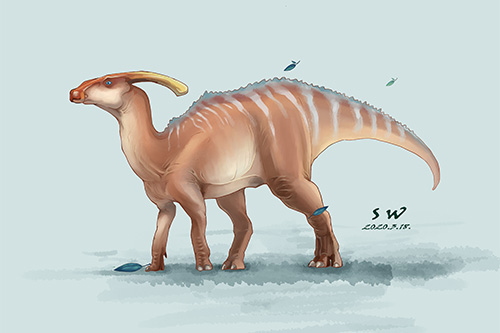 我買的第一個恐龍模型，來自仿真恐龍模型的副栉龍